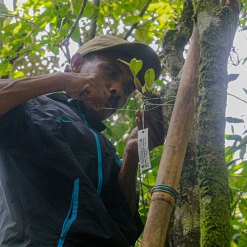 Mengantarkan Mereka Pulang